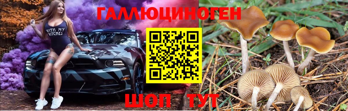 купить  сайты  Галлюциногенные грибы мухоморы  Коломна  Вход с VPN  Галлюциногенные грибы ЛСД 