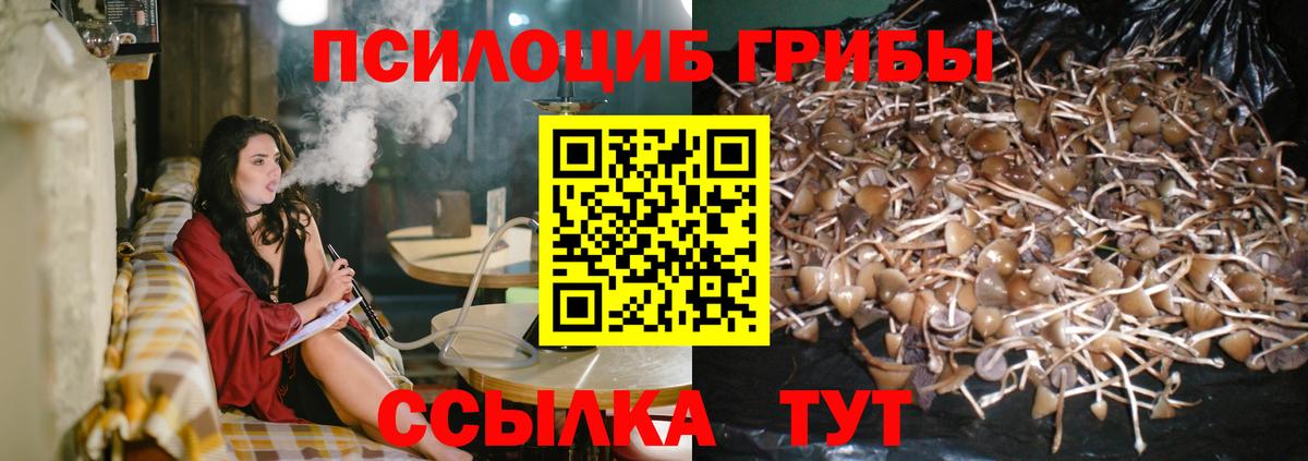 Галлюциногенные грибы прущие грибы Коломна